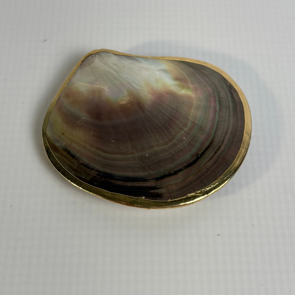 Vintage Iridescent Shell Scarf Slide Gold Tone Trim Clam Shell Belt Buckle 3.25"